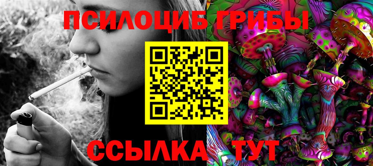 Псилоцибиновые грибы мицелий Мурманск