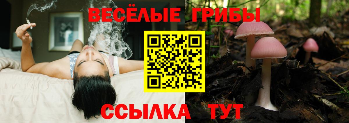 Галлюциногенные грибы GOLDEN TEACHER  Вход с VPN  Мурманск 